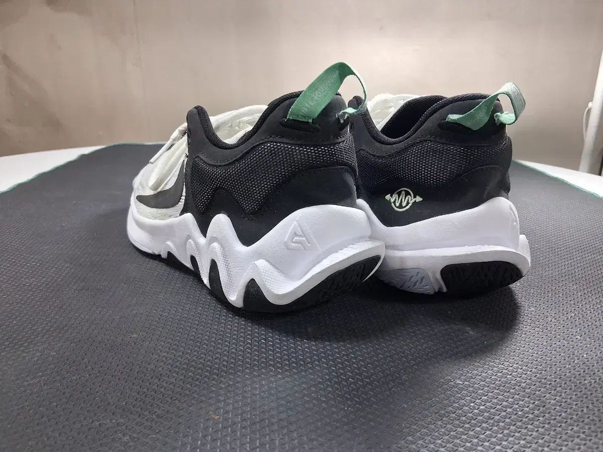  ナイキ ヤニス イモータリティ 2 GS 軽量メッシュ 240 シューズ(男性用) バスケットボール