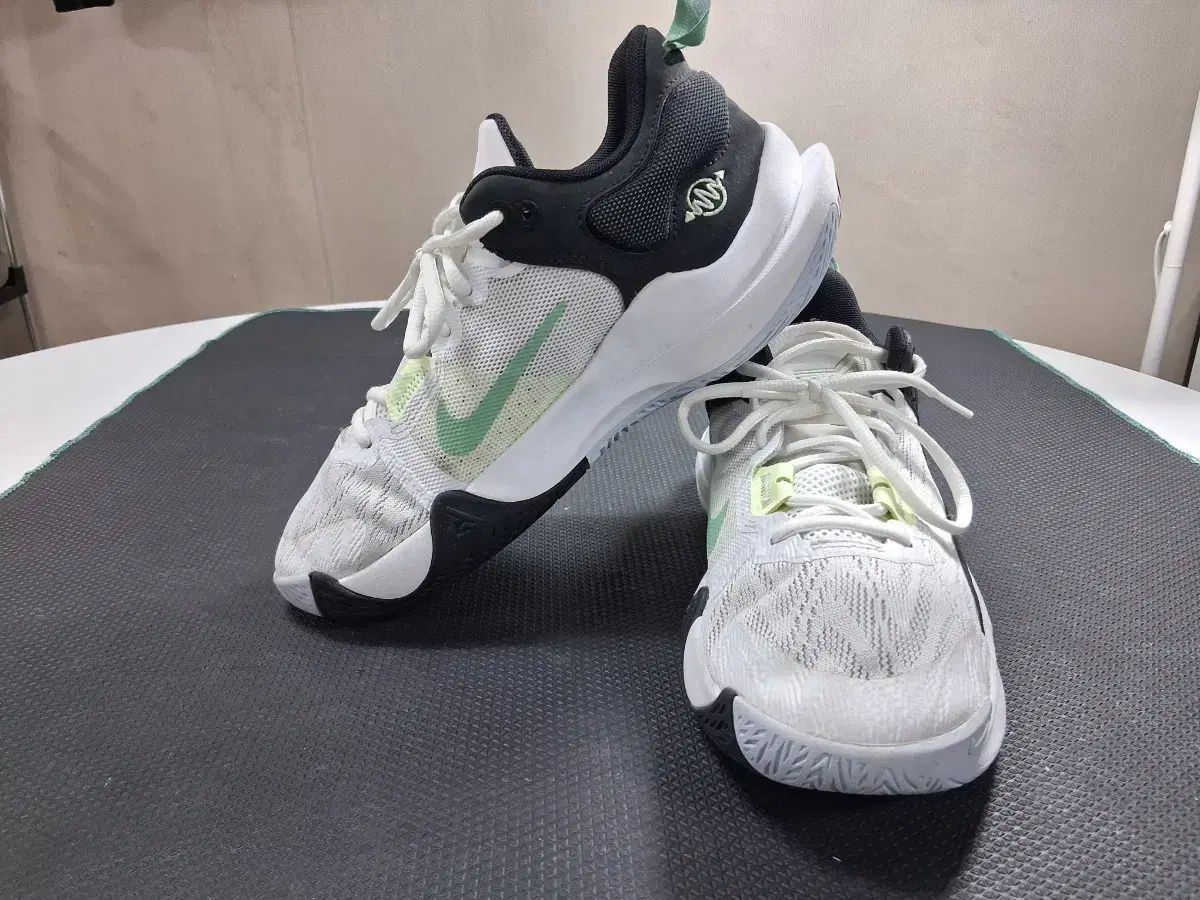 ナイキ ヤニス イモータリティ 2 GS 軽量メッシュ 240