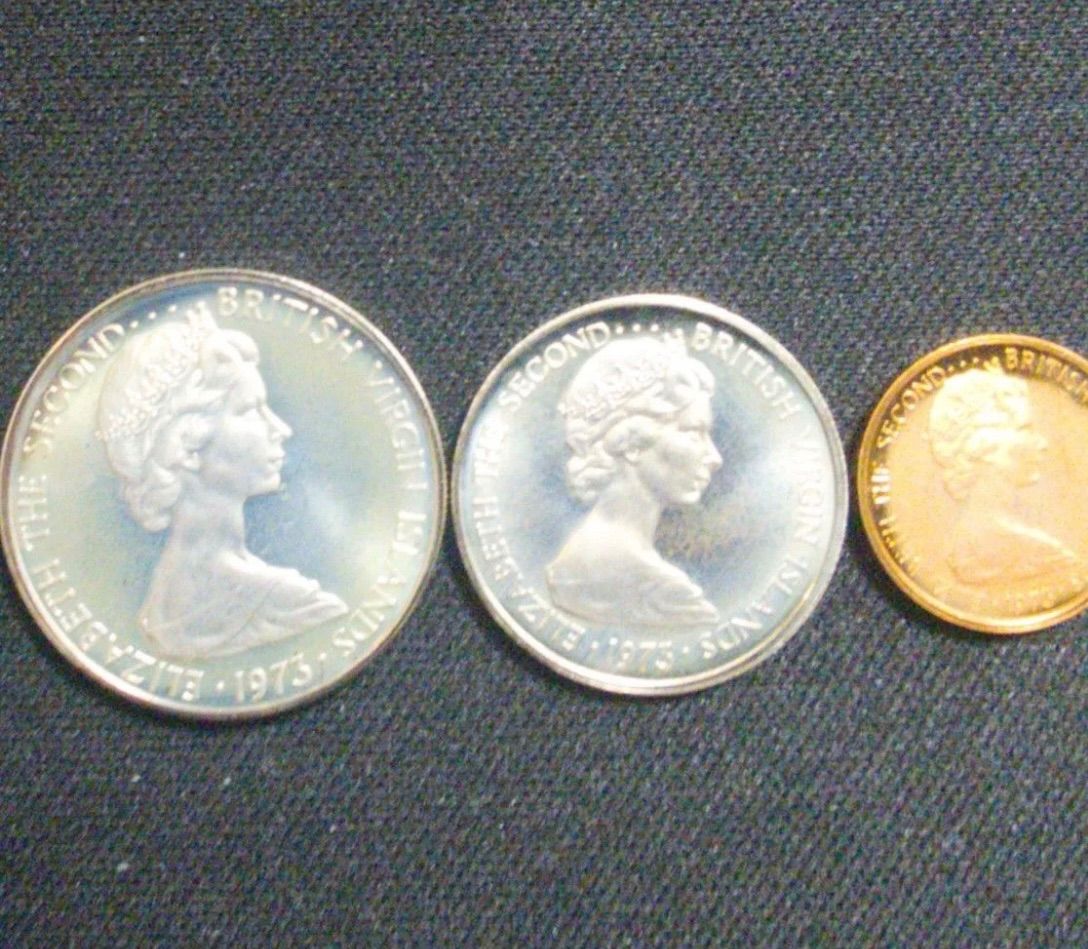 1973年 英領ヴァージン諸島 1ドル グンカン鳥記念銀貨 SV925 プルーフ