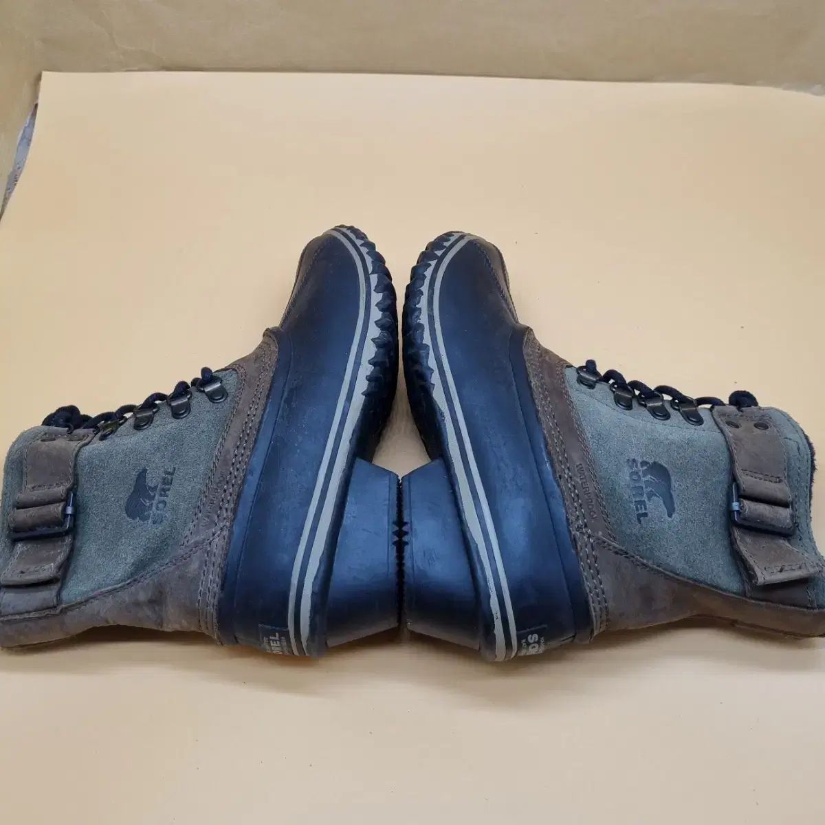 ソレル レディース