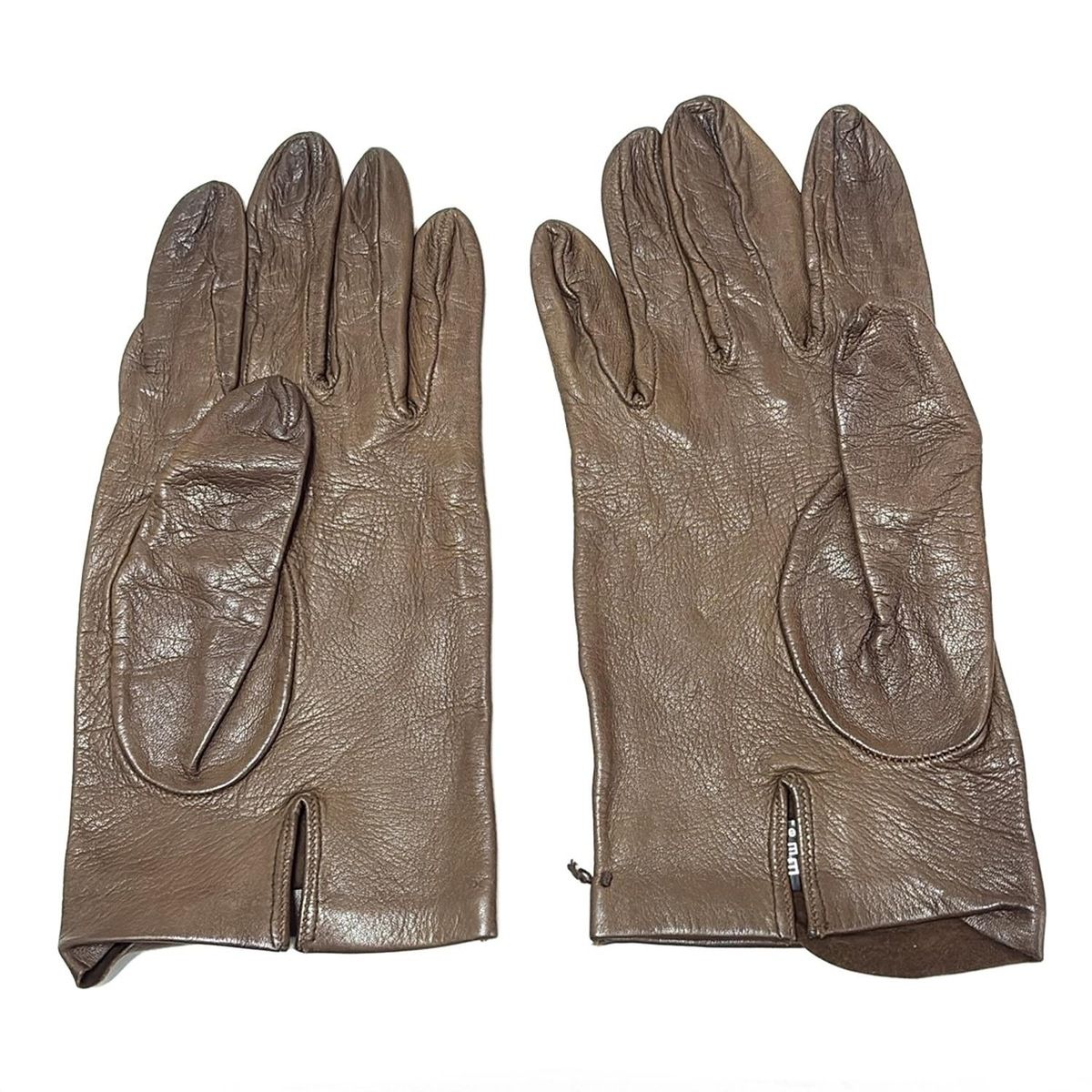 セルモネータグローブス