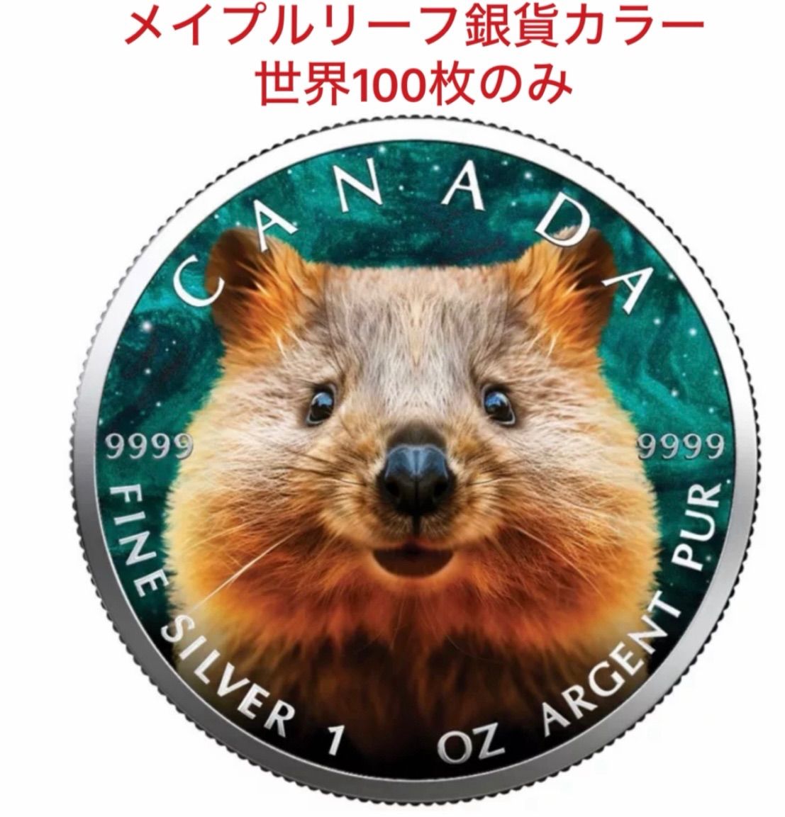 世界 メイプルリーフ 銀貨 クォッカワラビー 1オンス