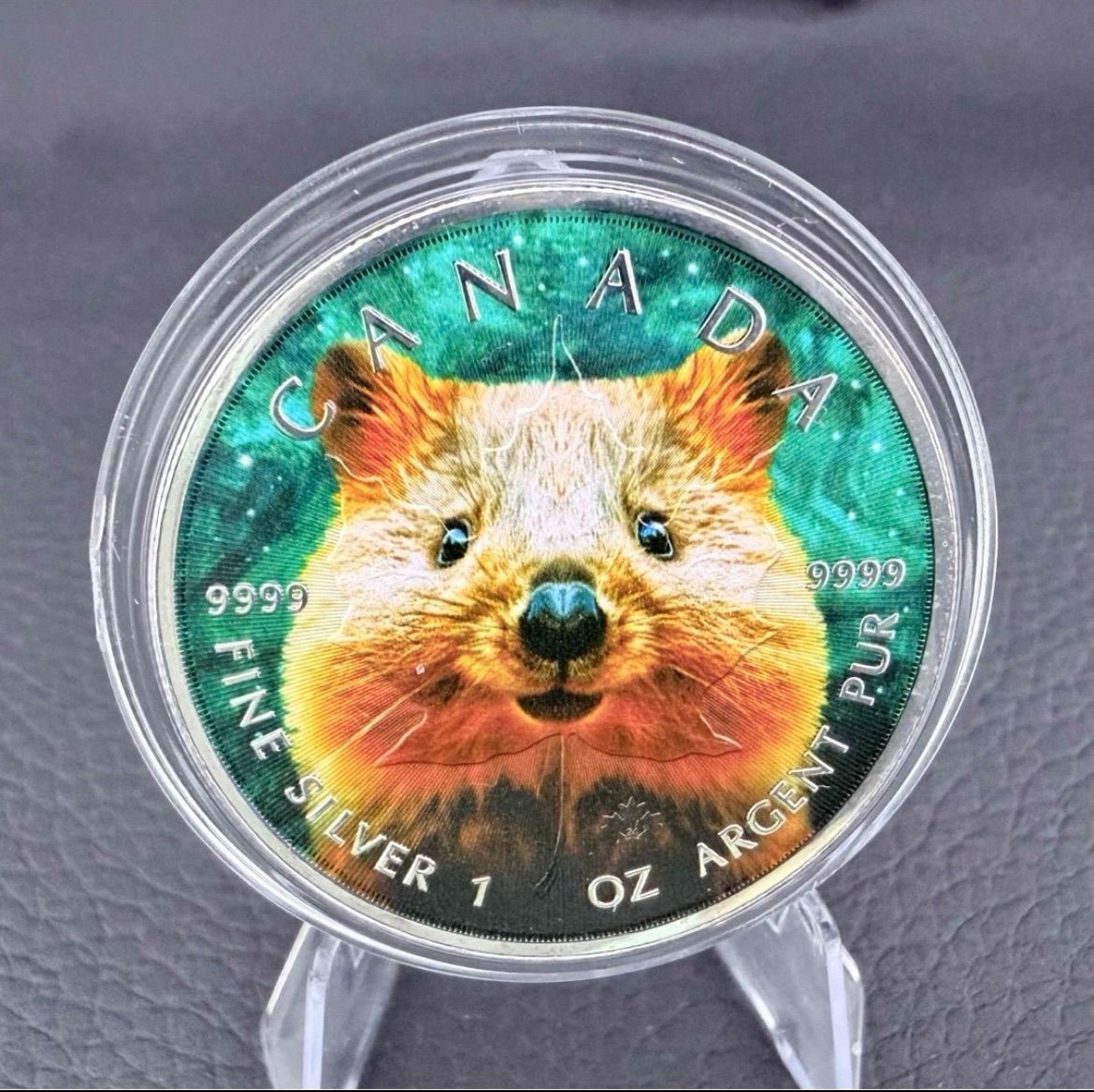 メイプルリーフ 銀貨 カラー クォッカワラビー 1オンス【世界100枚限定