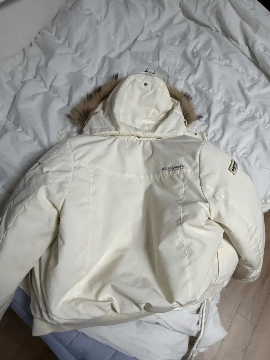 エクスペディション