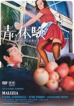 【中古】 青い体験 ＋ 続 青い体験 (2巻セット) [レンタル落ち] [DVD]