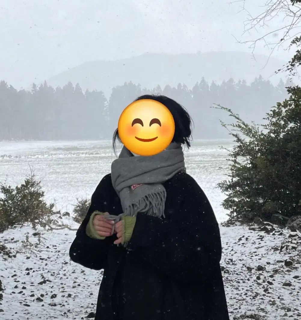 ウール マフラー