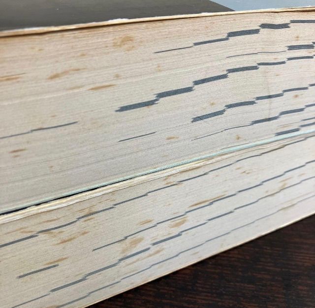 アマチュア無線局名録 節約 1990年版 全国版上下巻 日本アマチュア無線