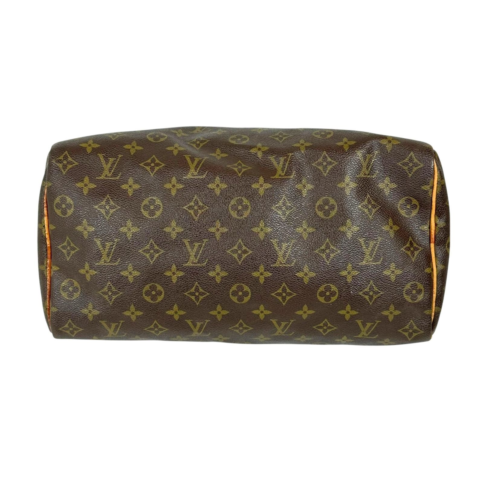 キャンバス レディース