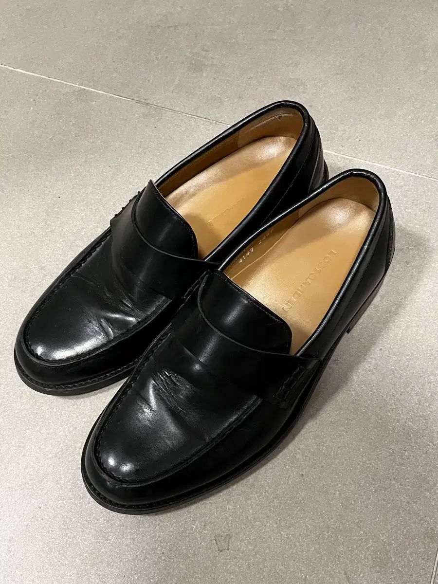 LOSTGARDEN オディン 240