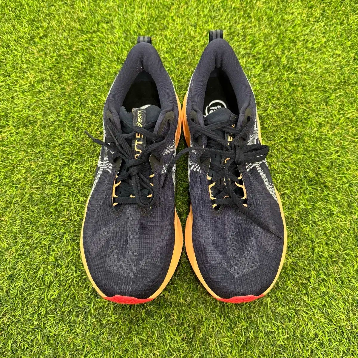 アシックス ノヴァブラスト 5 ワイド_27.5cm サイズ