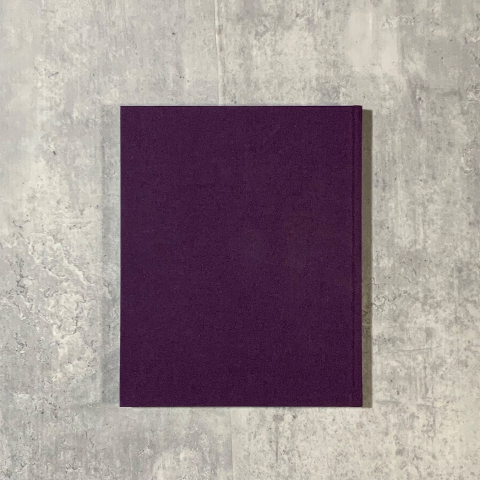 ウィリアム エグルストン William Eggleston Mystery of the Ordinar