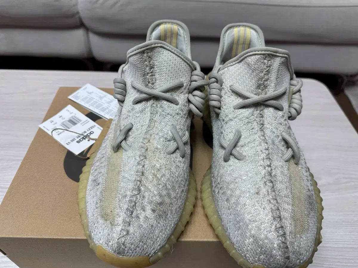 イージーブースト 350 v2 ライト 260