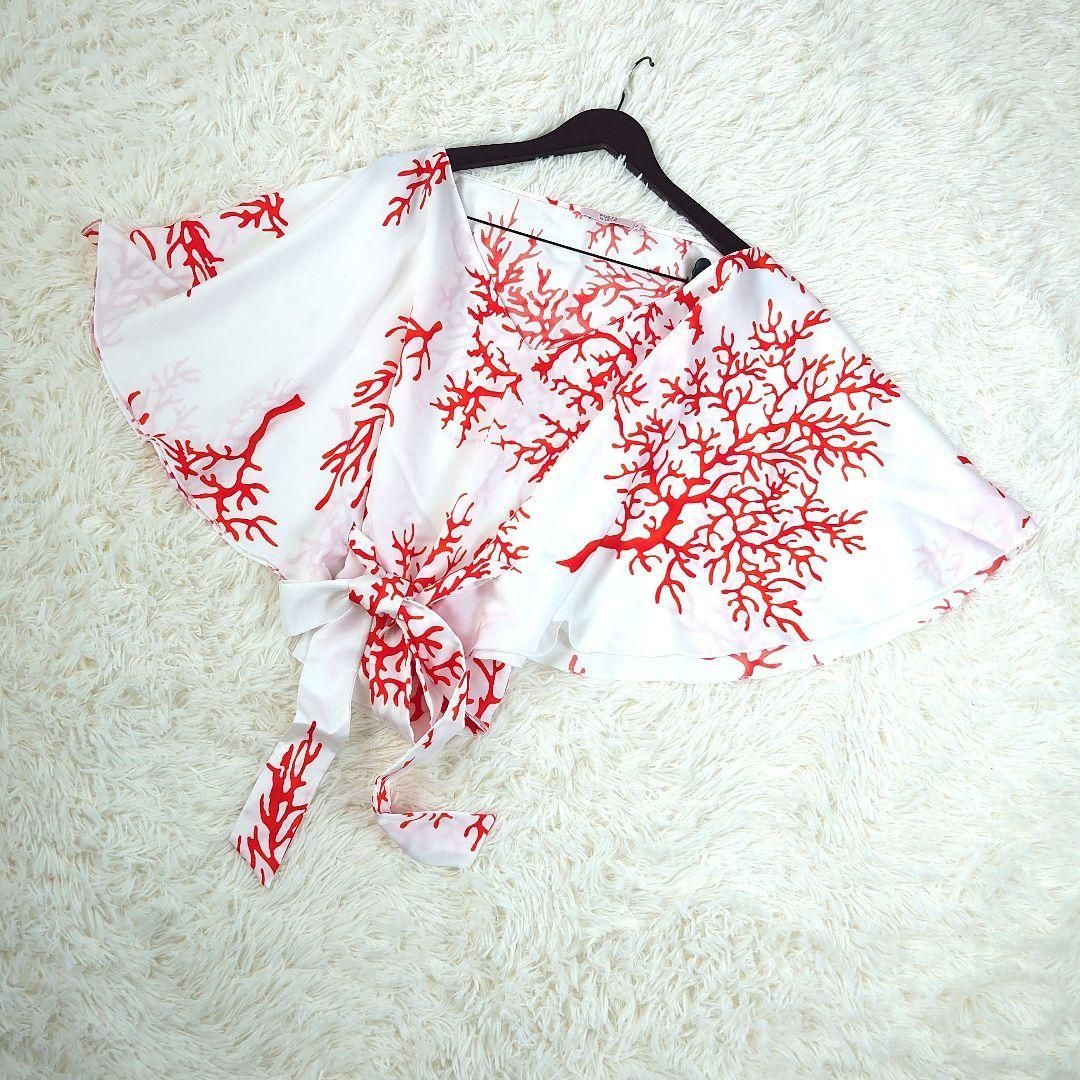 レッドヴァレンティノ 白