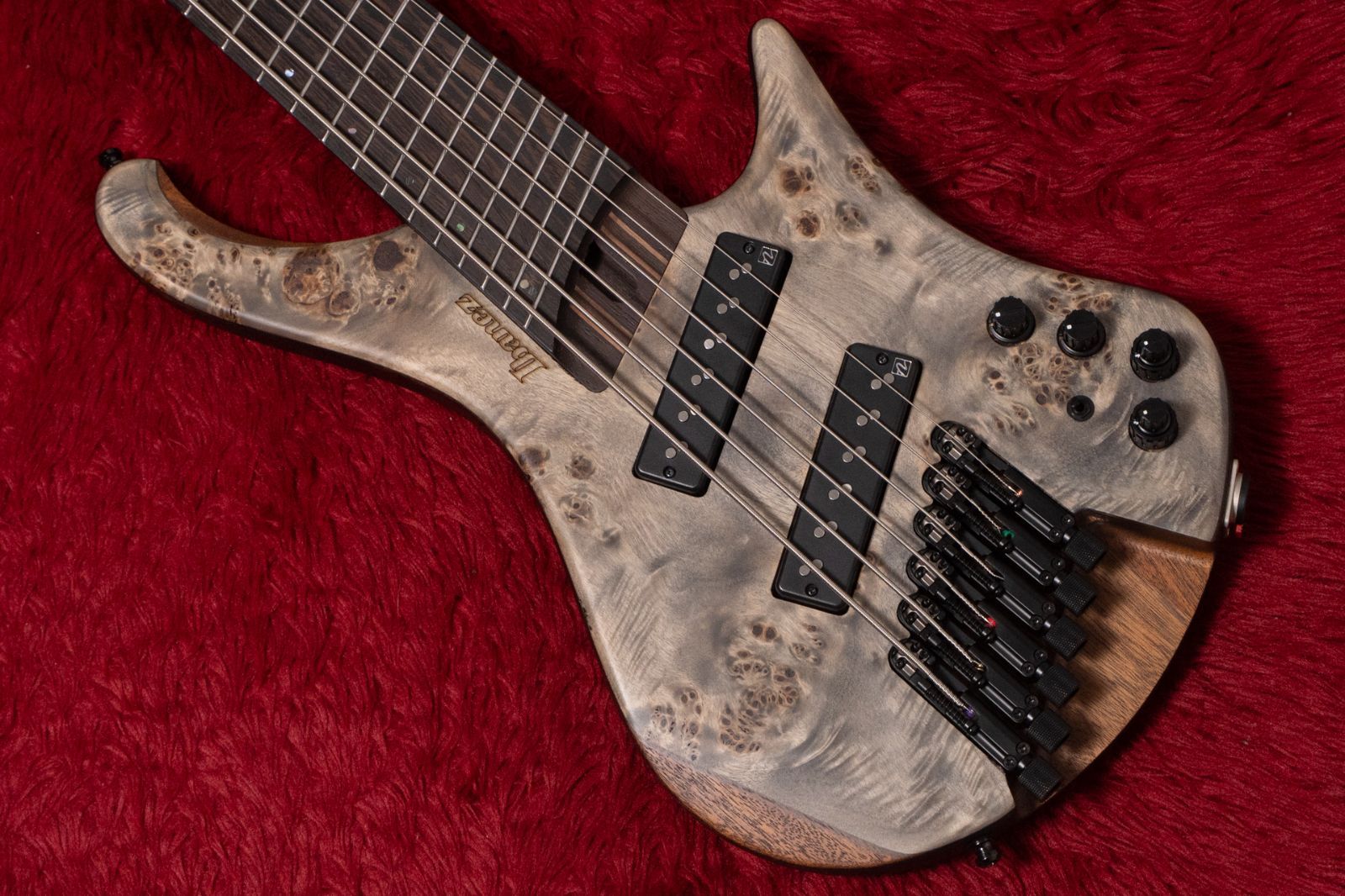 Ibanez BIF 2025 3.595 kg GIB横浜