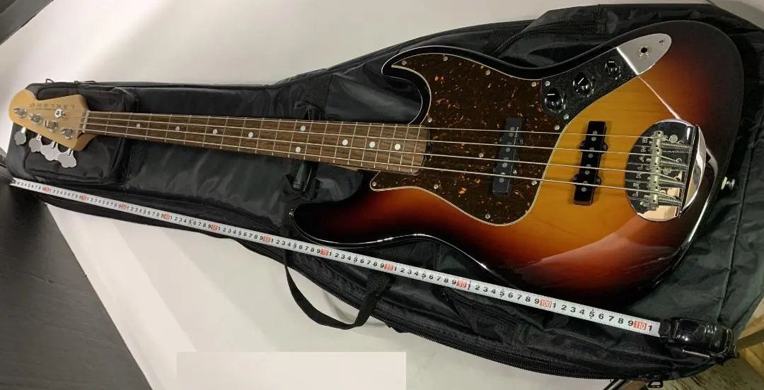 楽器 LAKLAND SKYLINE SERIES SK 460 エレキべース