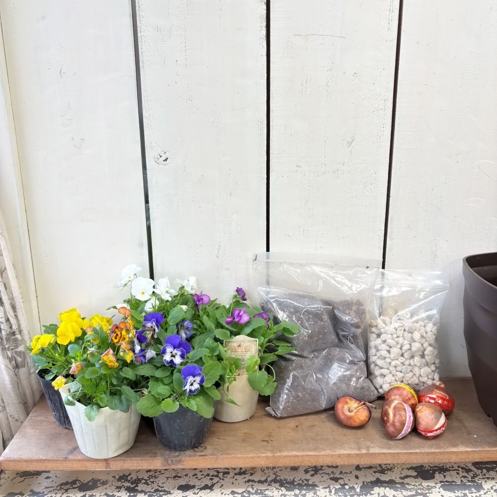 裁断済み】決定版 治癒の病理