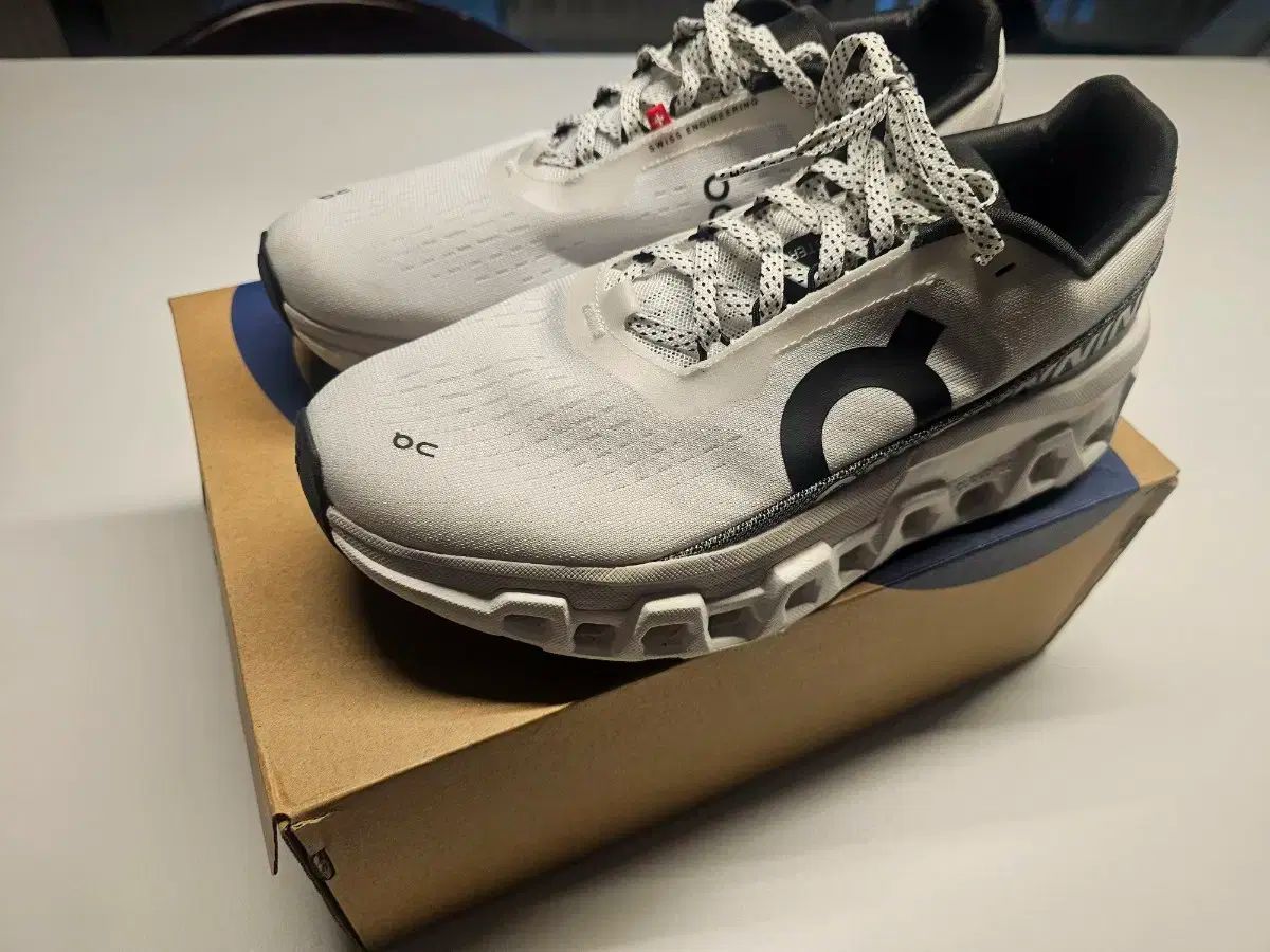 単ランニング クラウド MONSTER2 250 260 サイズ