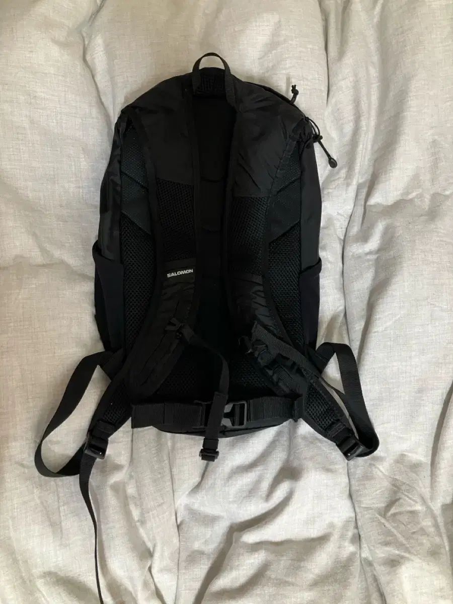 トレイルブレーザー10