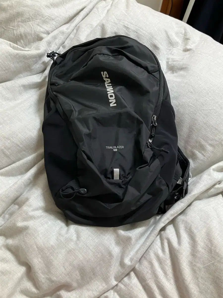 SALOMON サロモン トレイルブレーザー10