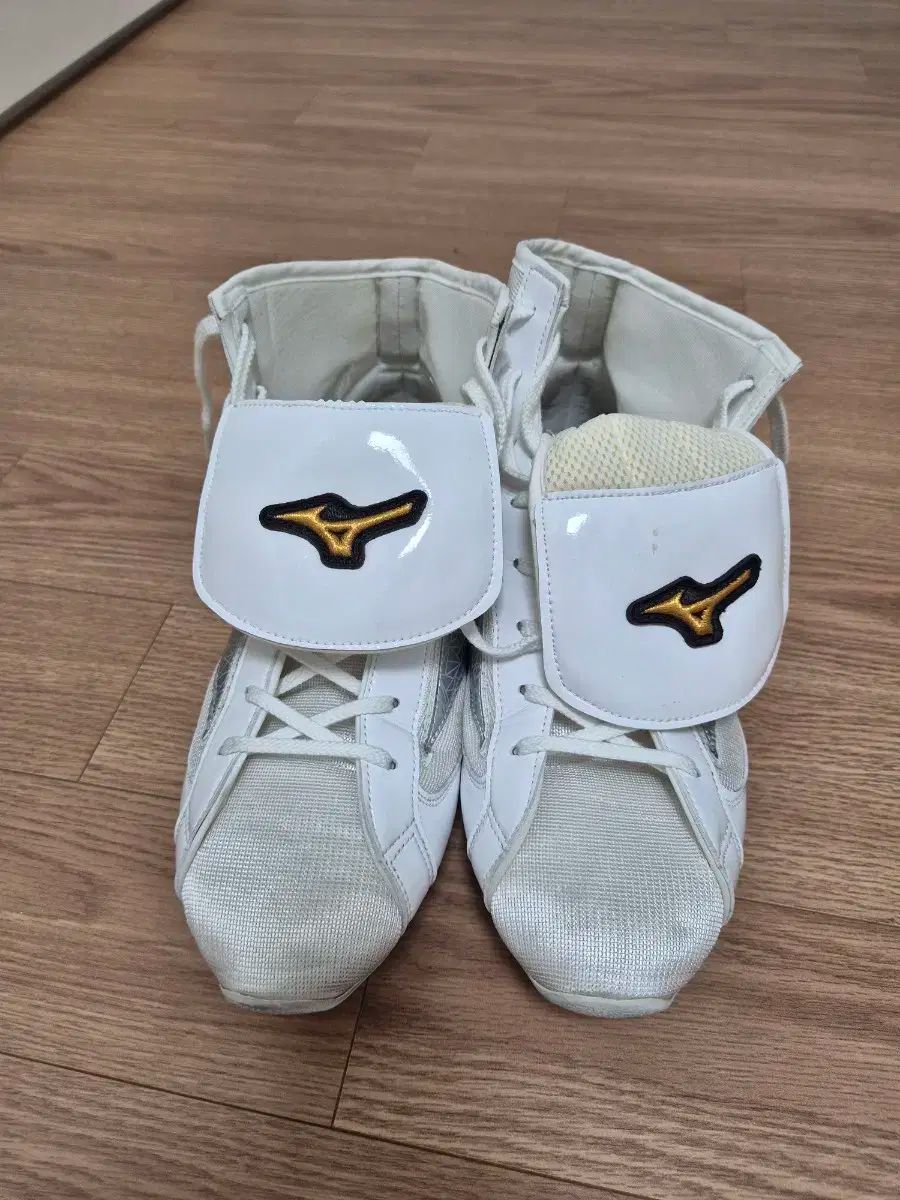 ミズノ ボクシング シューズ 280