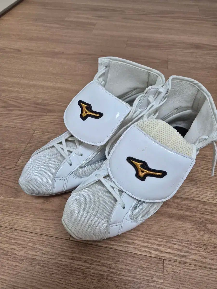 ミズノ ボクシング シューズ 280