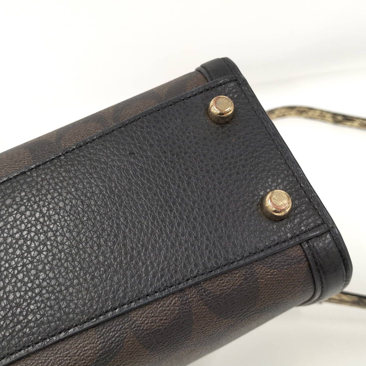 グレースキャリー