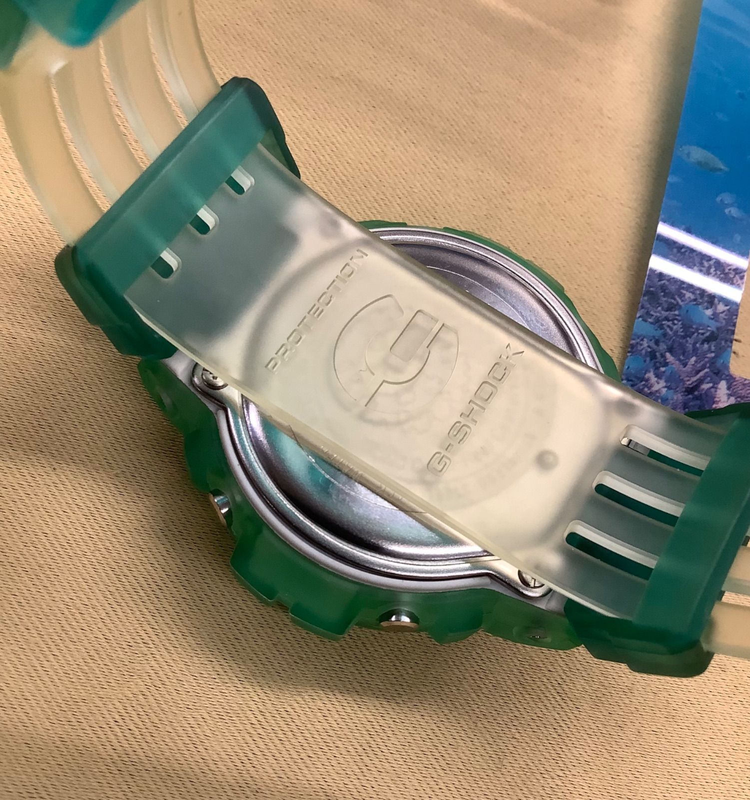 DW-6900WC-3T W.C.C.S. 世界サンゴ礁 アクロポーラグリー - メルカリ