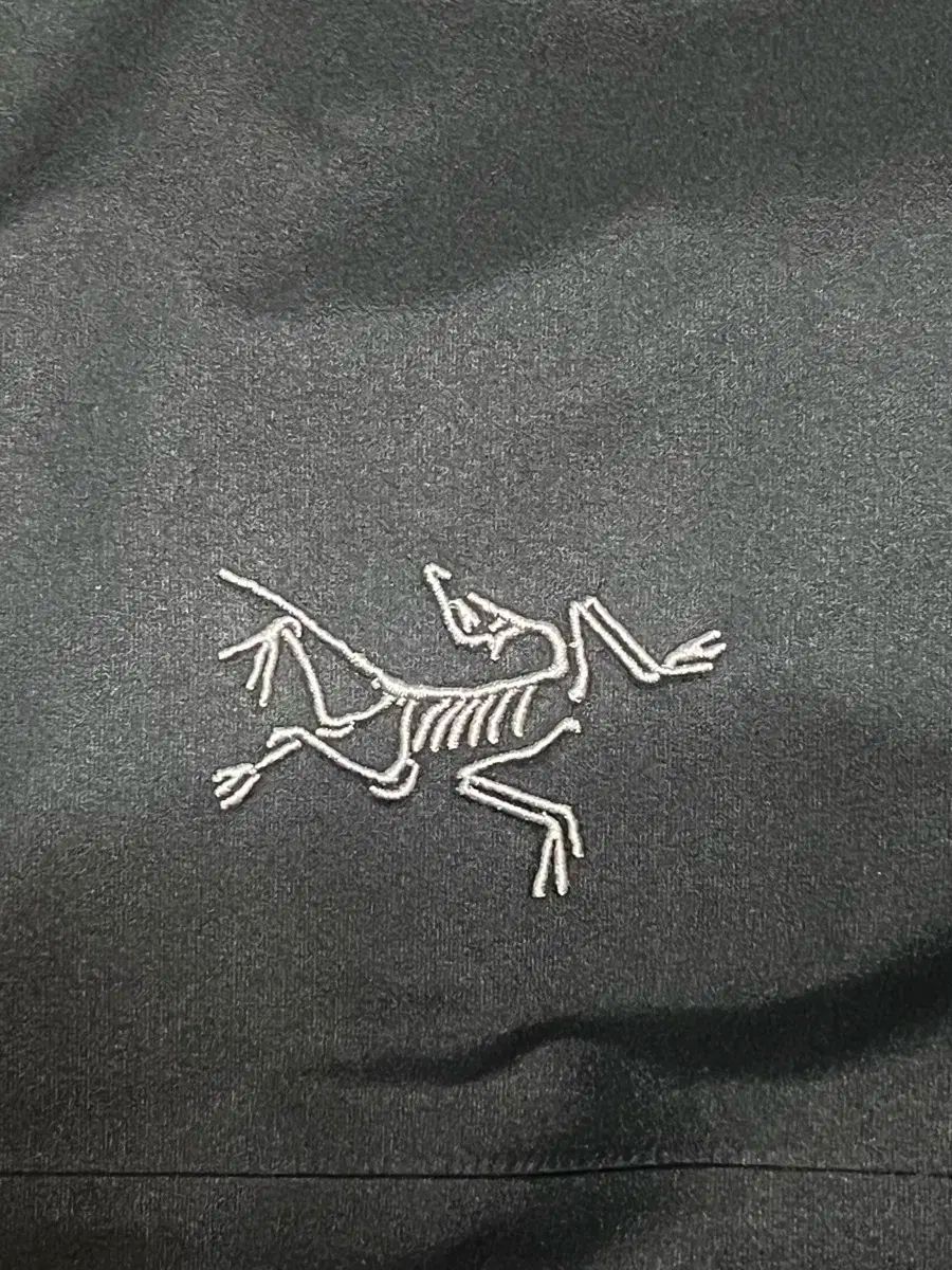 ARC TERYX アークテリクス ベータ L ブラック