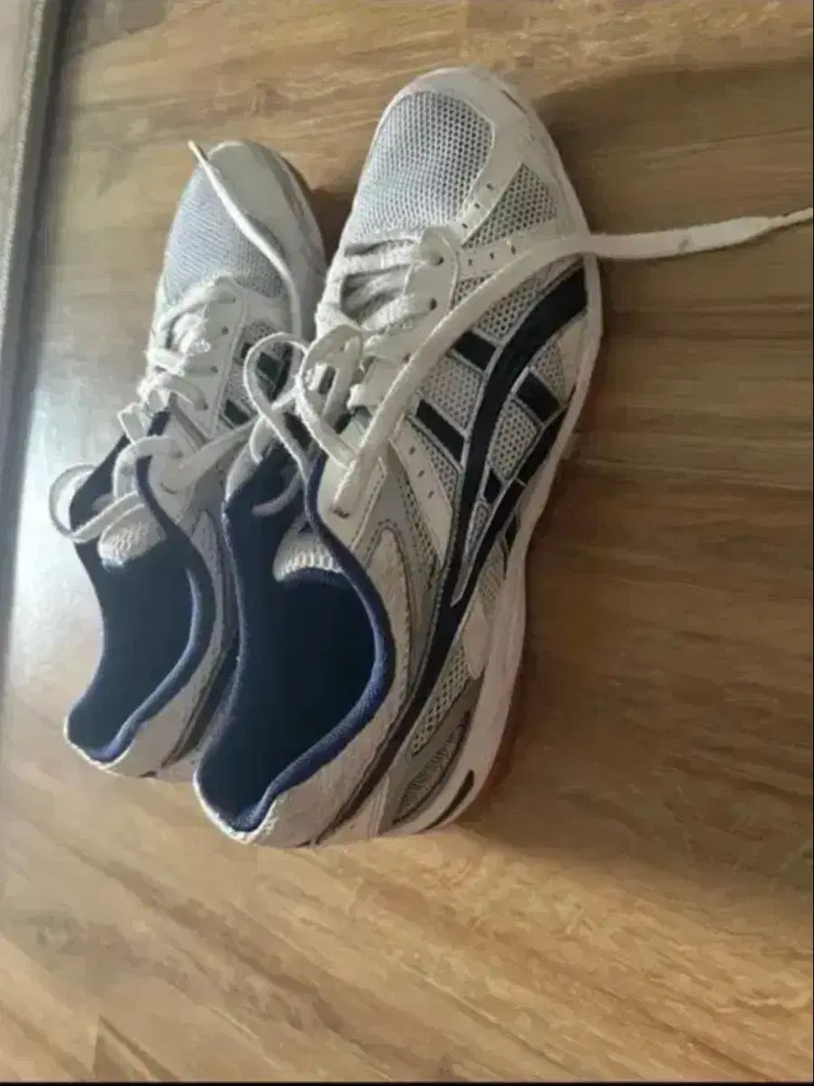 フレンチテリー 260