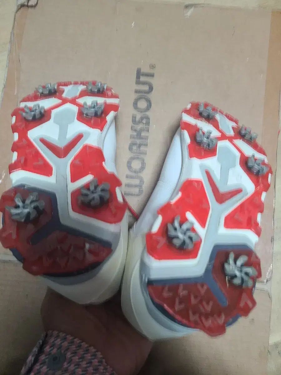 おしゃれな キャロウェイ Apex Pro ゴルフシューズ 280