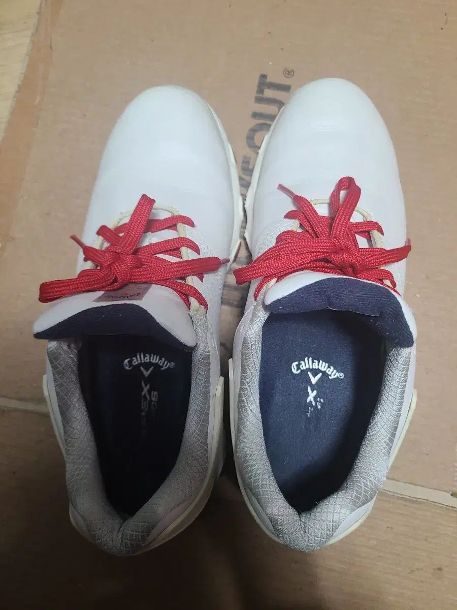 ゴルフシューズ 280