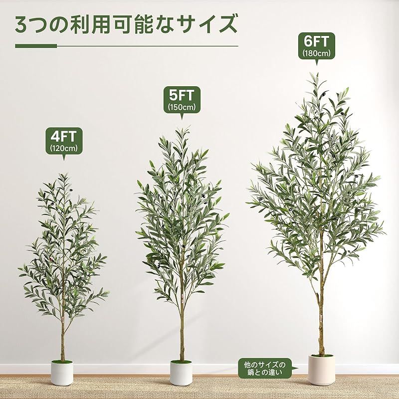 観葉樹 水や肥料は必要ありません