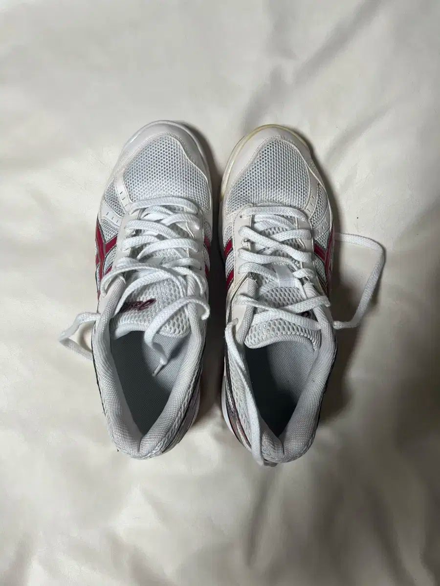  アシックス ローテ リーブル 250 체대입시화 その他 バドミントン