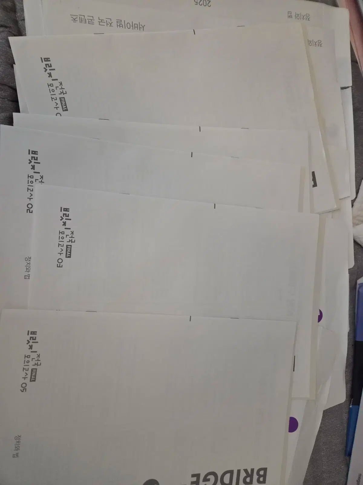 2025 社会文化 模擬試験 サバイバル バーバリーブリット 手のひら 赤いウール