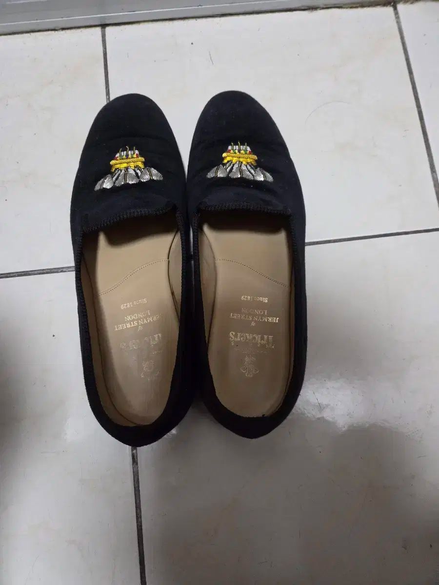 TRICKER ツリーあんさんぶるスターズ ローファー 270