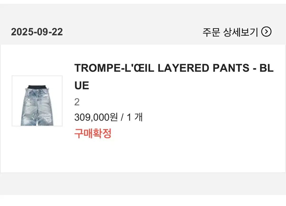 2 プロトブラストインデックス トロンプルイユ レイヤード パンツ Project GR 프지알