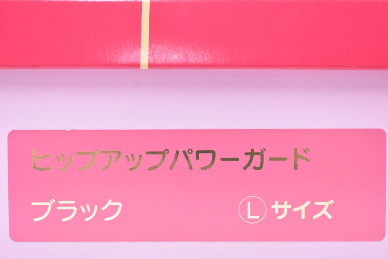 日本直販総本社 ヒップアップパワーガード ブラック Lサイズ 下着 アンダーウェア 美容 ボディケア -D-J 02-byebye