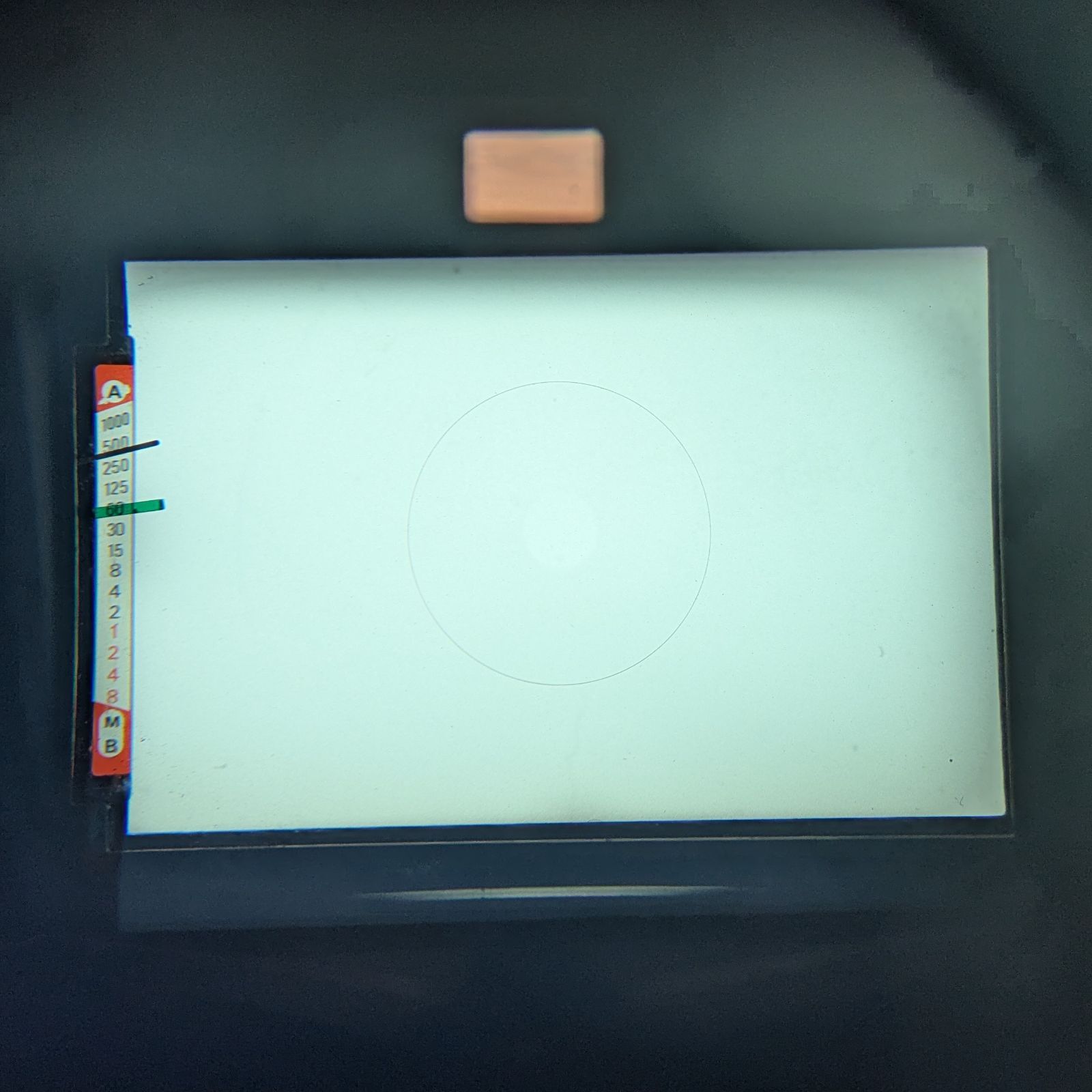 フィルムカメラ 防湿庫管理