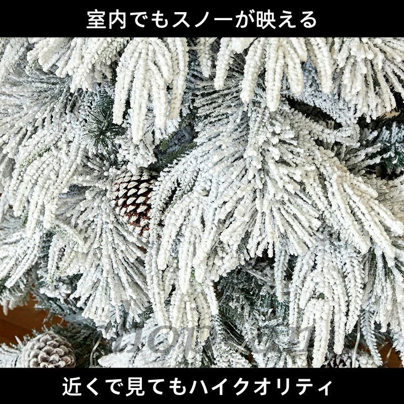 クリスマス