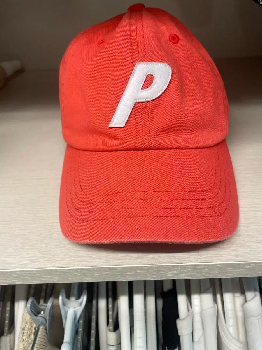 パレス P6-パネル コーラル-25SS