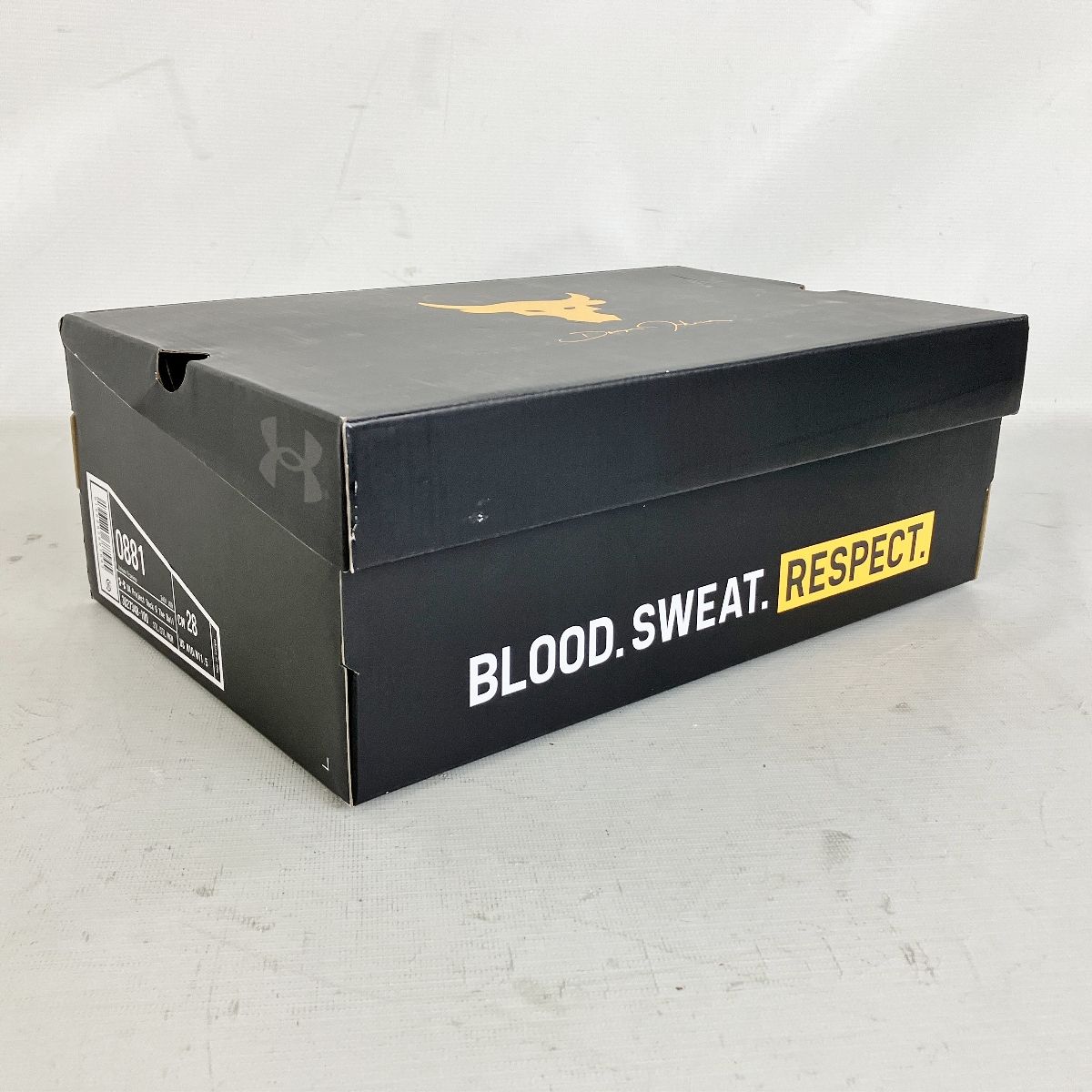 UNDER ARMOUR UA PROJECT ROCK 6 アンダーアーマー プロジェクト ロック トレーニング シューズ 28 cm ジム フィットネス ドウェイン ジョンソン 良好