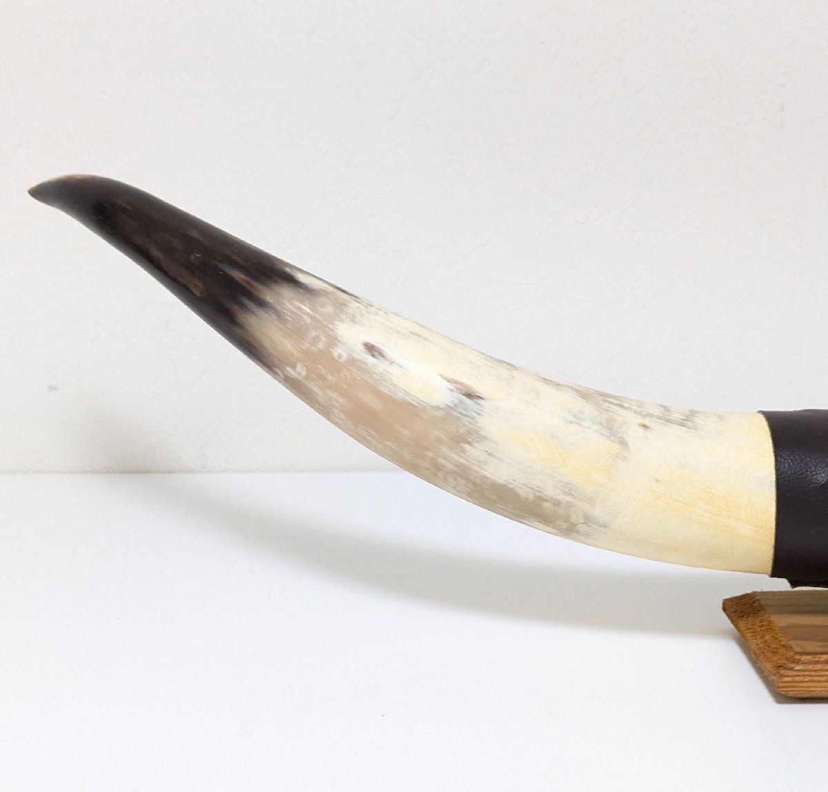 ◇水牛 角◇93㎝◇バッファロー◇ツノ◇インテリア◇ディスプレイ