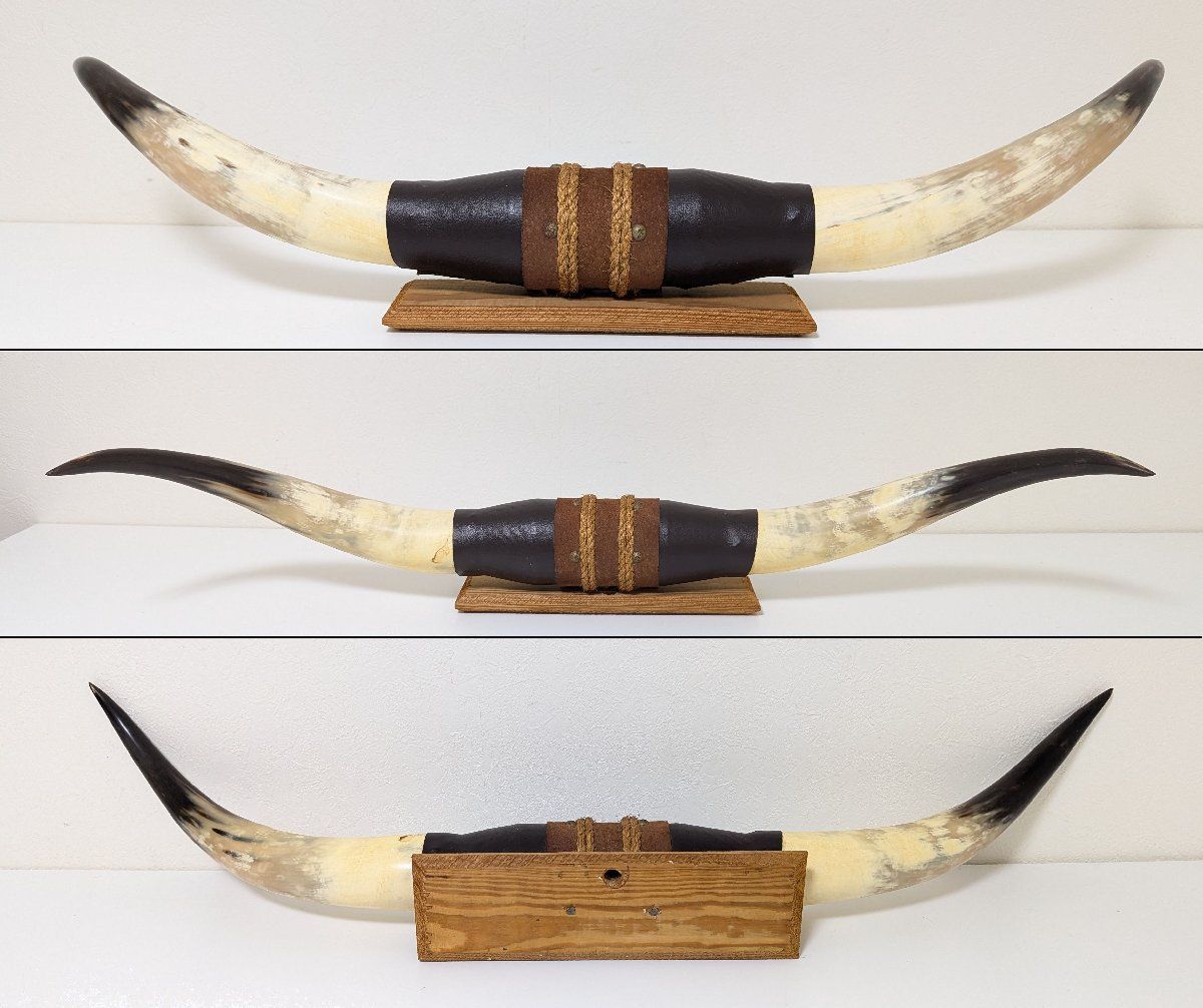 ◇水牛 角◇93㎝◇バッファロー◇ツノ◇インテリア◇ディスプレイ