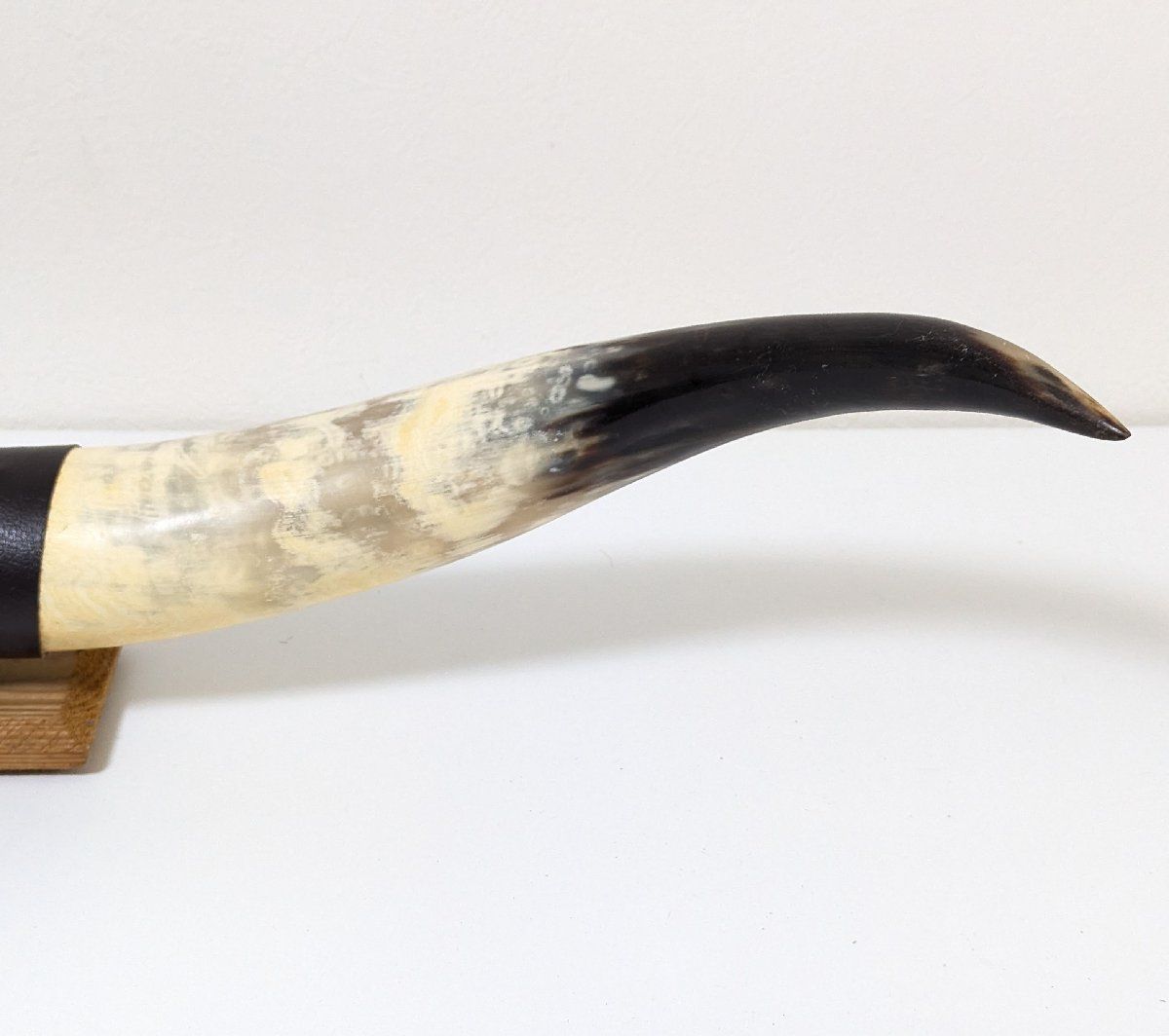 ◇水牛 角◇93㎝◇バッファロー◇ツノ◇インテリア◇ディスプレイ