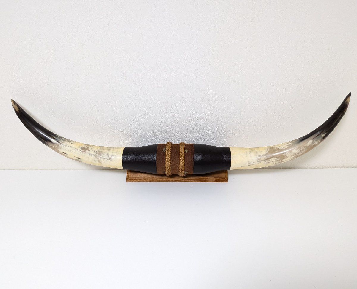 本物　天然　牛の角　テキサス　カウボーイ　インテリア 本物 天然 牛の角 テキサス カウボーイ インテリア