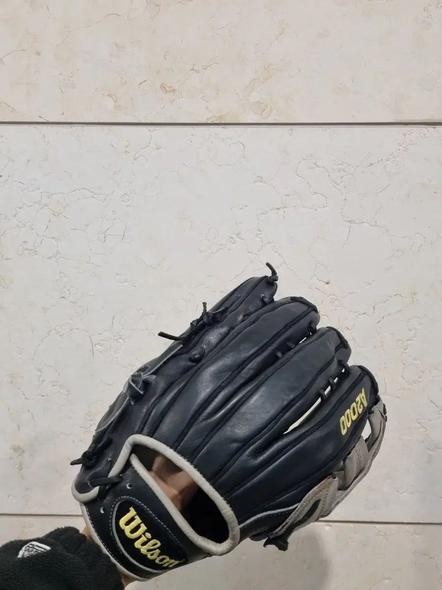 ヤシエル プーイーグ A 2000 外野グローブ ウィルソン