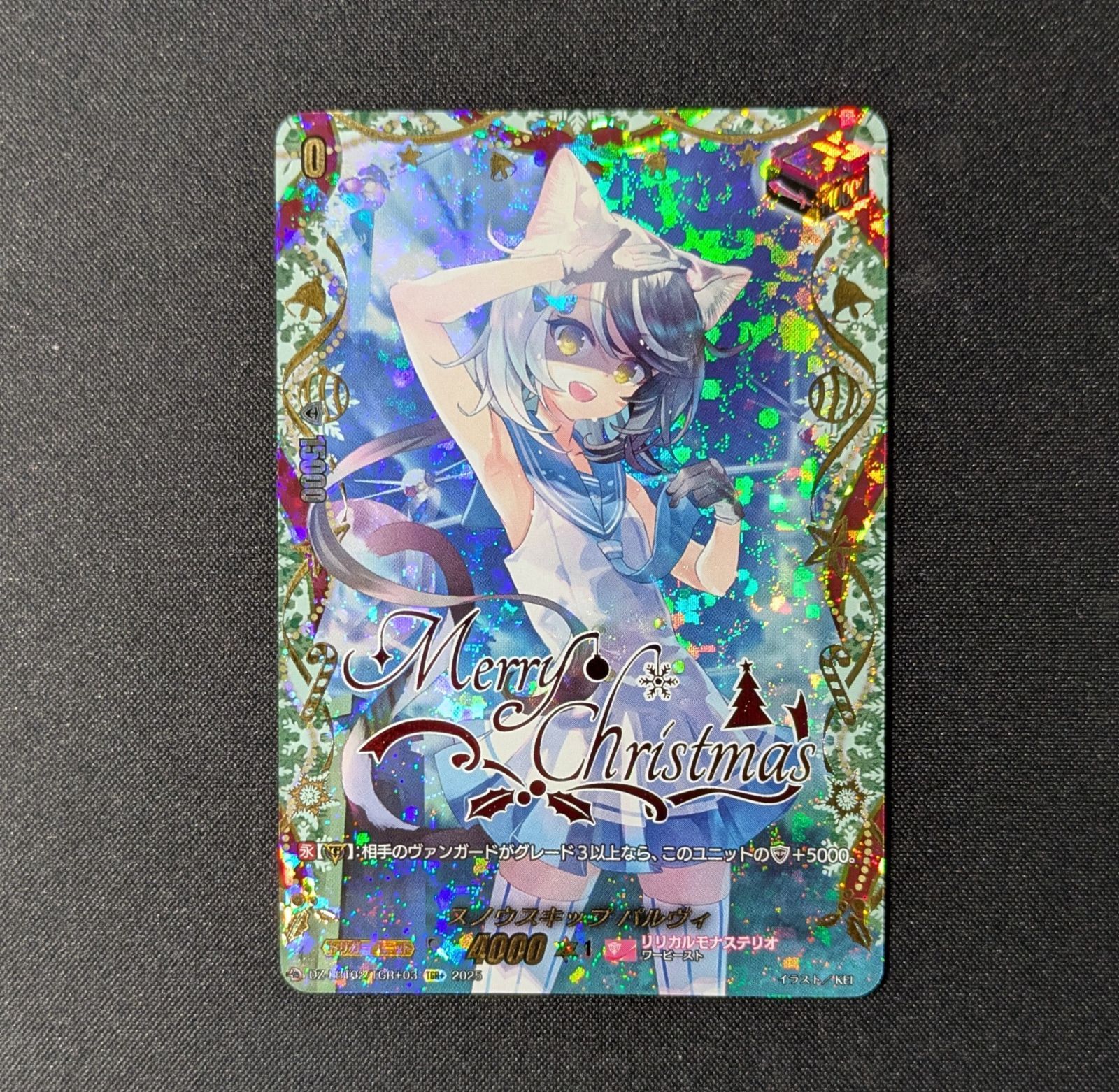 VG スノウスキップ パルヴィ DZ-LBT02 TGR 03 TGR