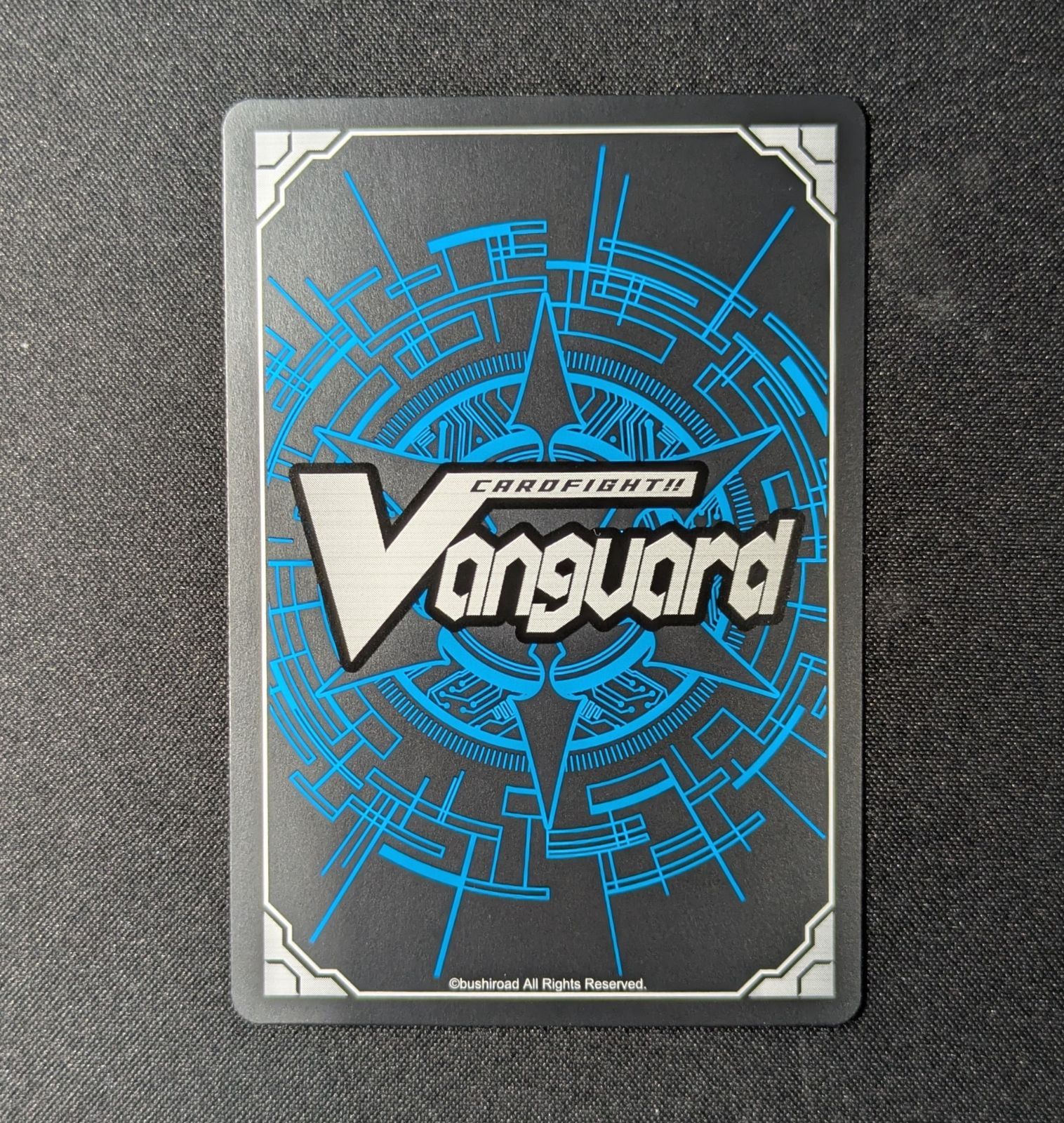 VG スノウスキップ パルヴィ DZ LBT 02 TGR 03