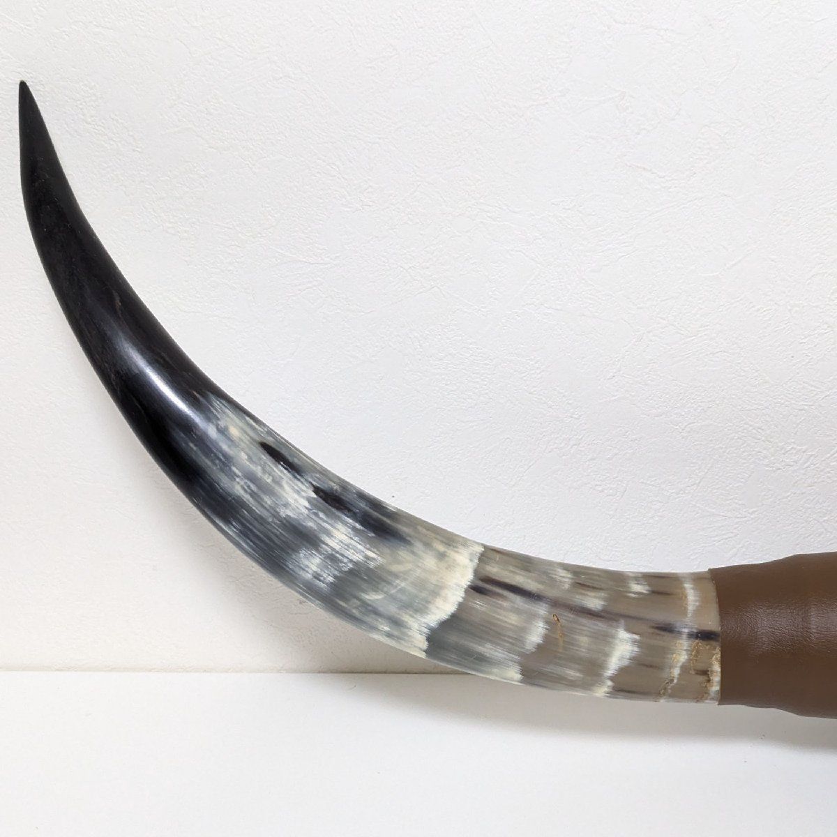 特大 バッファロー 水牛 壁掛け 角 ホーン 引取限定 特大 バッファロー 水牛 壁掛け 角 ホーン 引取限定 水牛の角 特大