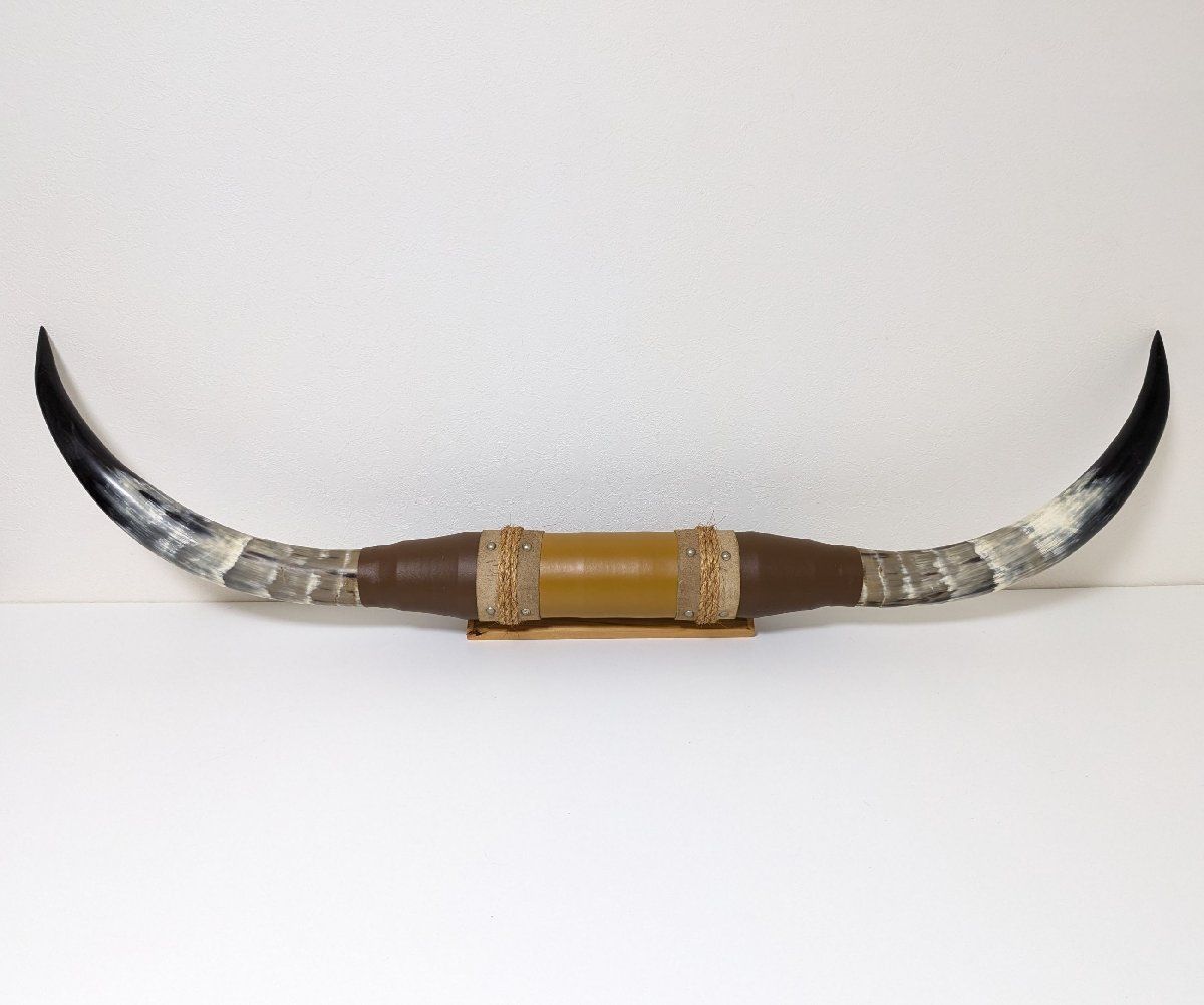 ◇水牛 大型角◇1.3m◇バッファロー◇ツノ◇インテリア◇ディスプレイ